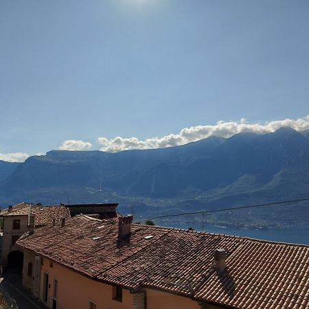 Ferienwohnung Ulivi Sul Garda Garden By Gardadomusmea Tremosine Exterior foto