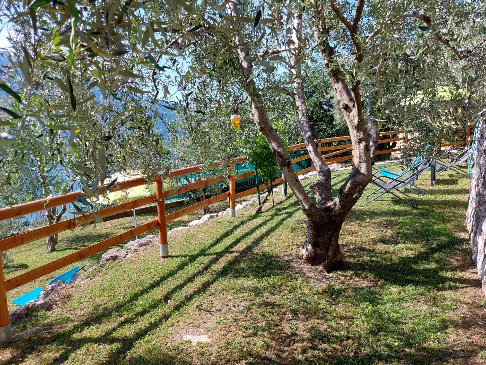 Ferienwohnung Ulivi Sul Garda Garden By Gardadomusmea Tremosine Exterior foto
