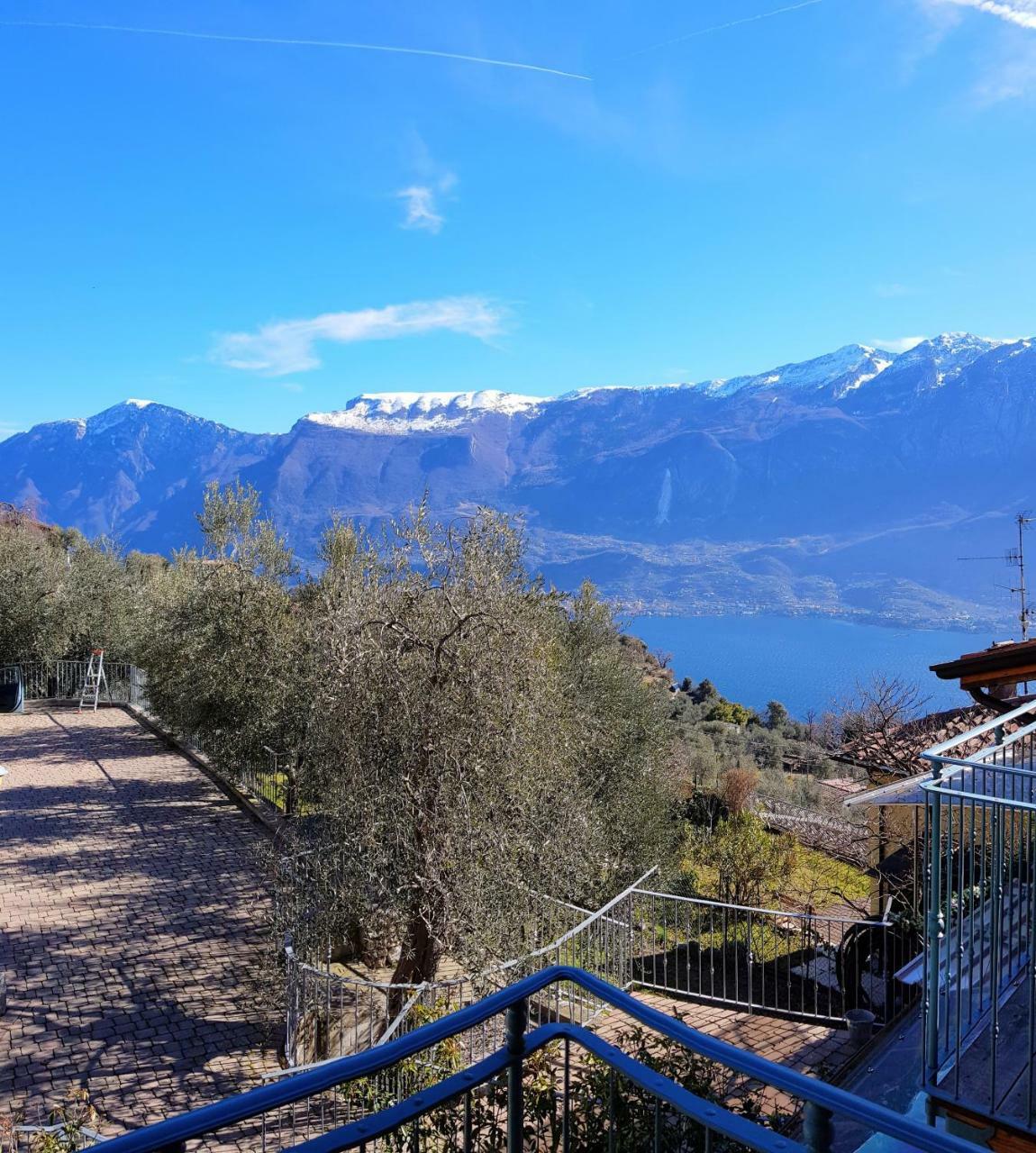 Ferienwohnung Ulivi Sul Garda Garden By Gardadomusmea Tremosine Exterior foto