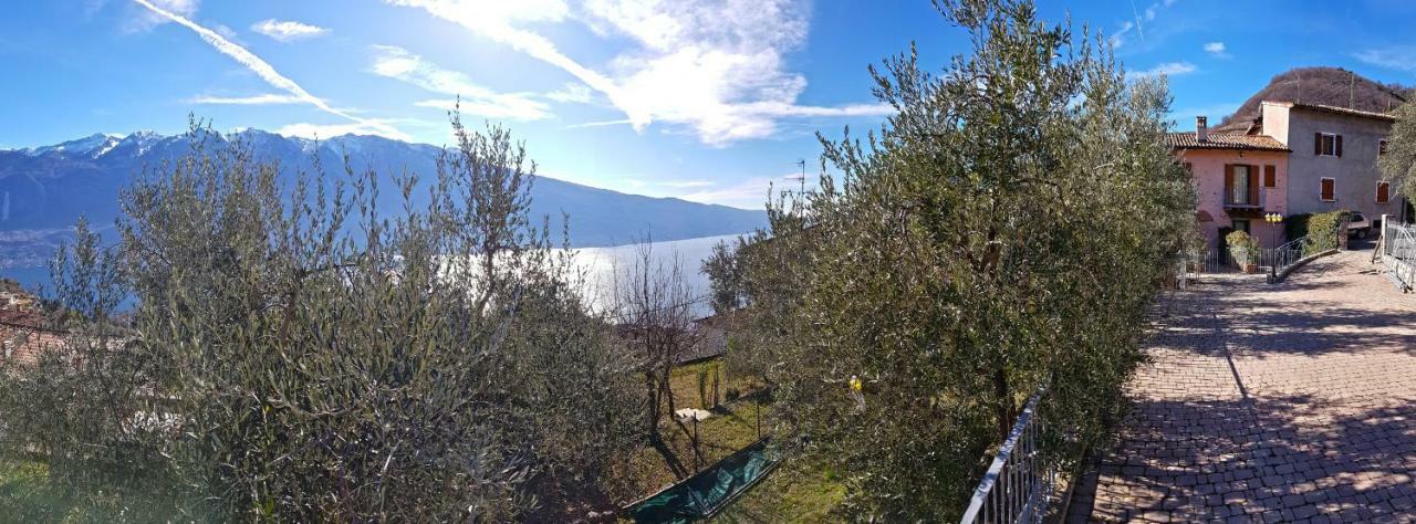 Ferienwohnung Ulivi Sul Garda Garden By Gardadomusmea Tremosine Exterior foto